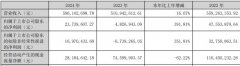 <b>公司实现停业收入5.96亿</b>